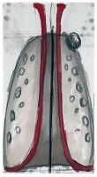 https://www.tizianomaffione.com/files/gimgs/th-11_11_lato.jpg